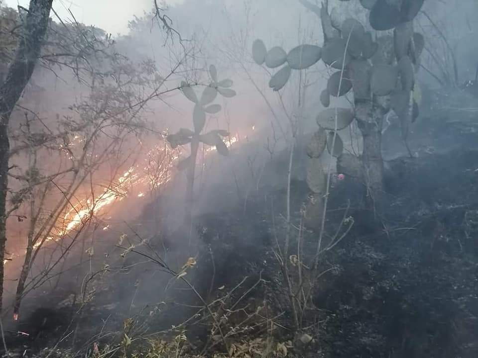 La Chio Morales tweet media