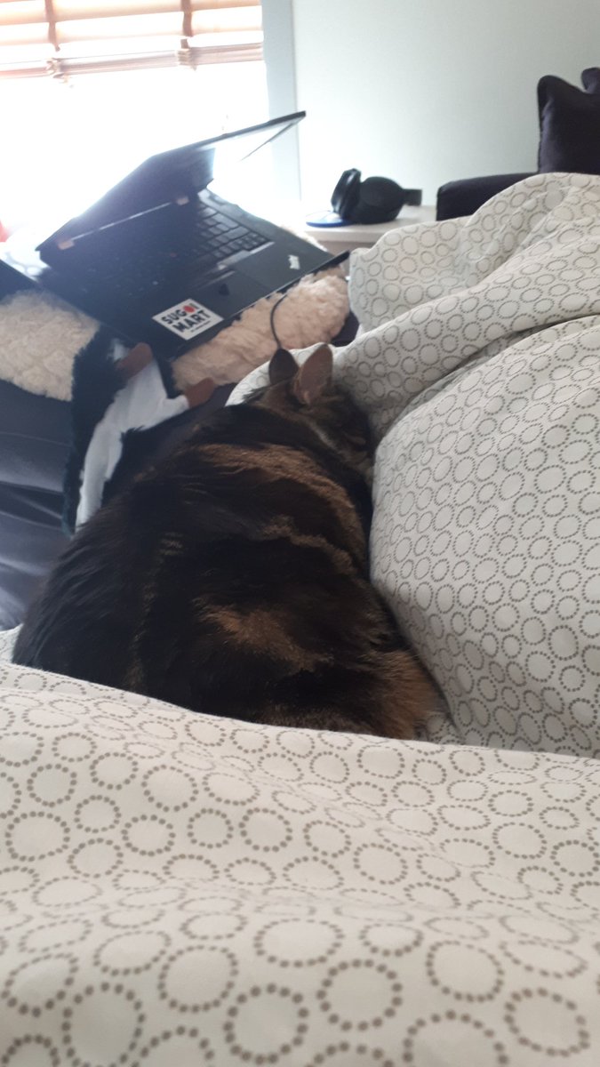 Necrowsey's tweet photo. These shitty grainy pictures are all the content I can muster trapped here by my own child https://t.co/eDhcjtlTR2
