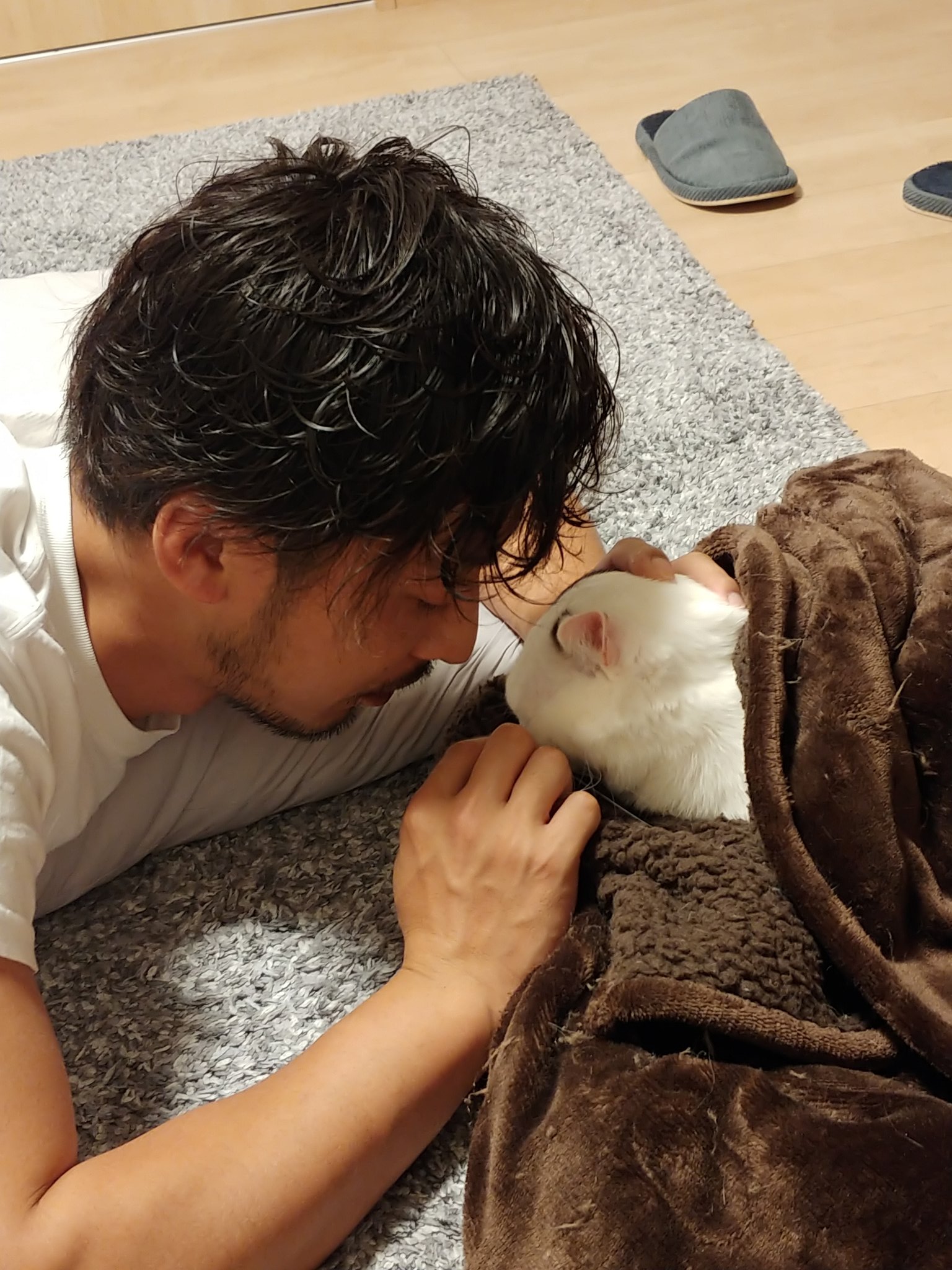 イケメンと猫 Twitter Search Twitter