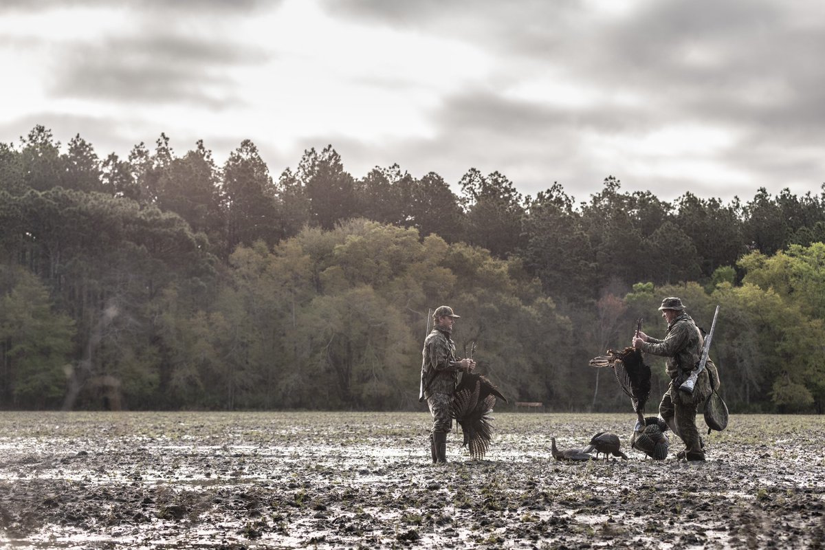 thelindseyway's tweet photo. I’ve killed ducks in fields with less water, but these Toms didn’t seem to mind! South Georgia never disappoints! https://t.co/dPOjnTtpmA