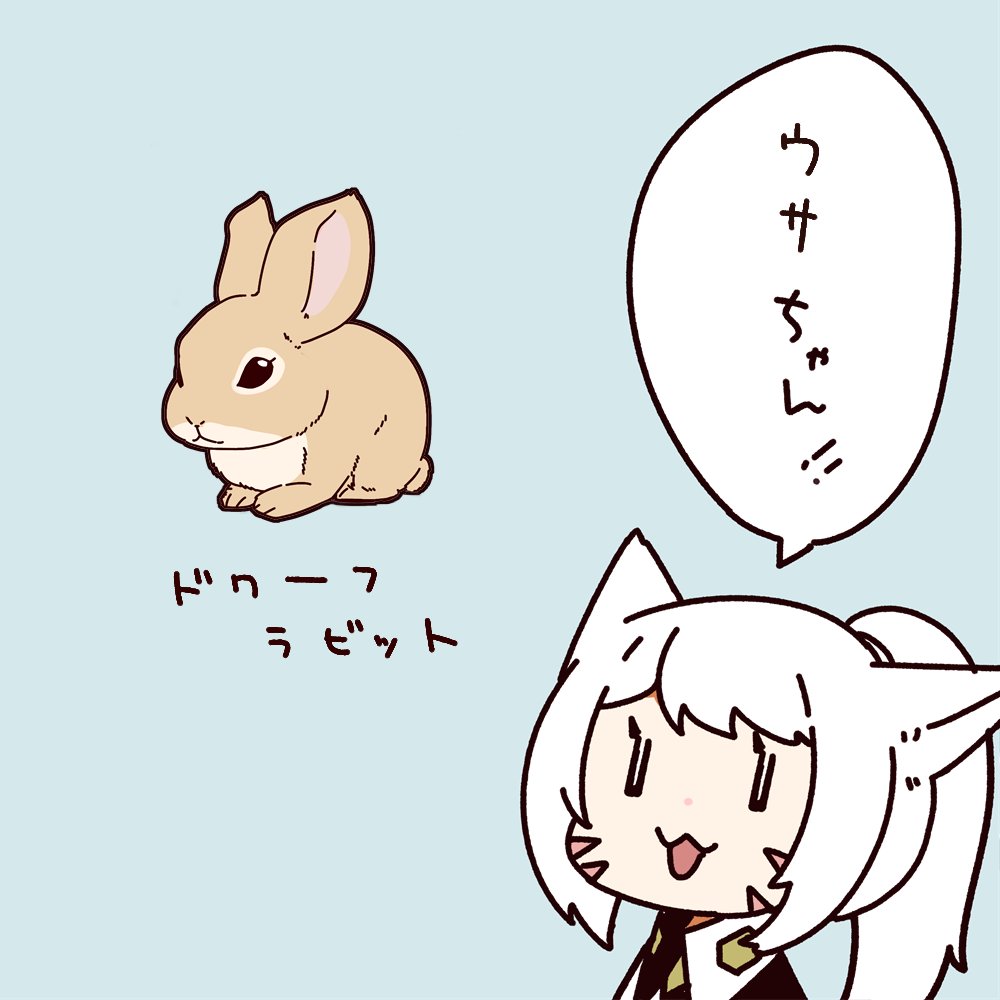 たくさん居るウサちゃん 