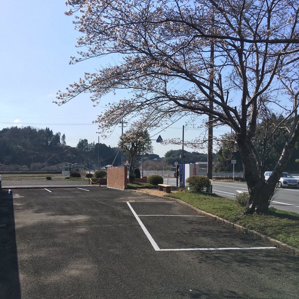 inasabito's tweet photo. 伊那佐まち協は、春の伊那佐山登山にご利用頂ける専用無料駐車場を作りました(^^) https://t.co/OwbHpzJa1t