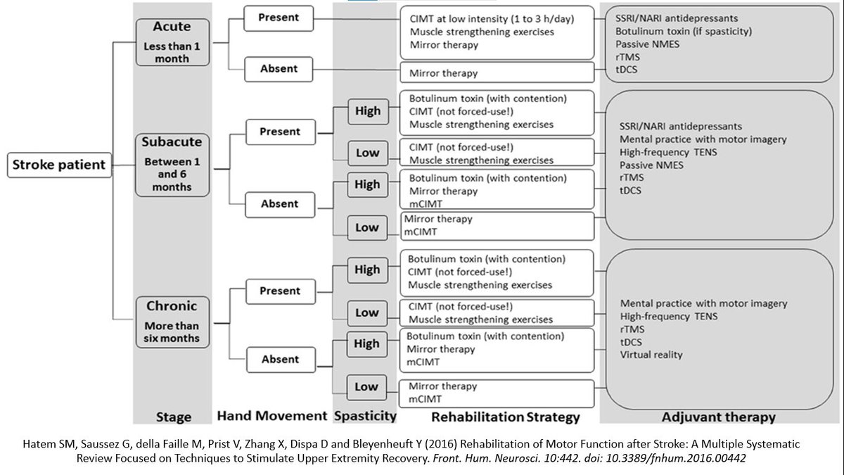 pt_neuro tweet picture