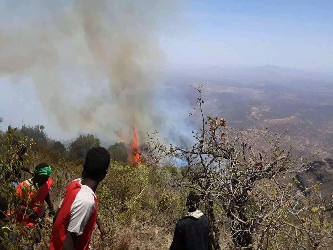 TadeleTibebut's tweet photo. አሰቦት ገዳምን ልናጣው ሰዓታት ብቻ ነው የቀሩት። እሳቱ ወደ ገዳሙ ተጠግቷል። ሁላችንም ገዳሙን  ከውድመት ለመታደግ መንግሥት በሂሊኮፍተር ታግዞ እሳቱን እንዲያጠፋ ጫና ማድረግ አለብን። https://t.co/OoUPliTigN