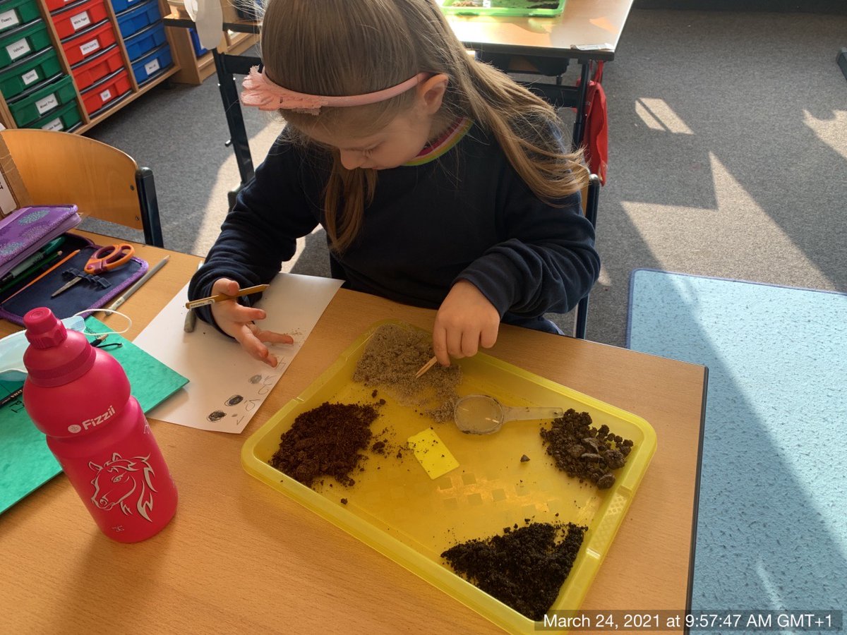 AdinJunuzovic's tweet photo. Today we took a much closer look at our soil.  Students investigated the composition of the soil to determine the color, texture, content, and moisture.   
@ISHRLearns @ISHROutdoorEd https://t.co/ZCvU1WXooY