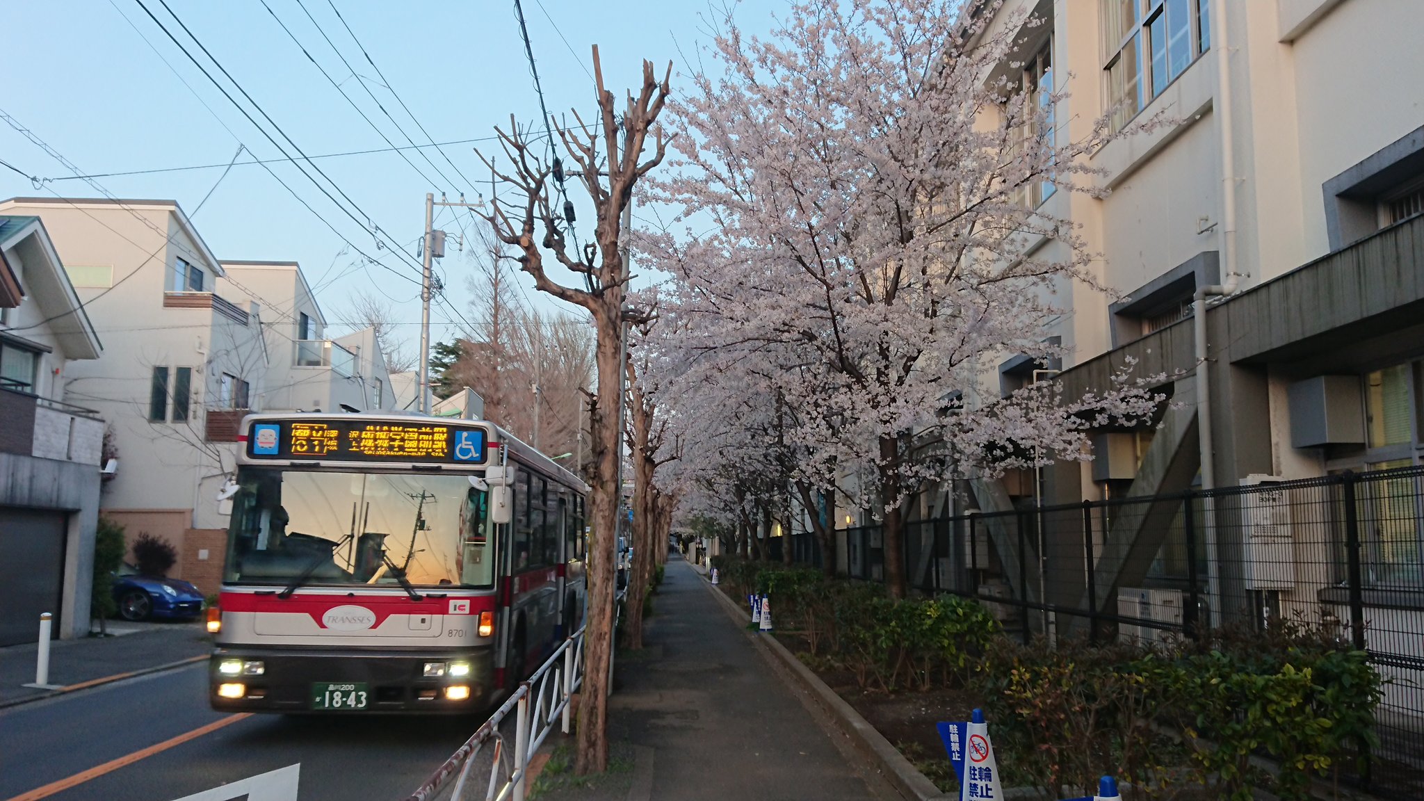Re Tropolises レトロポリシス 沿線の桜を通過する まもなく廃止される成城学園前駅行きの都立01 既に各バス停 では成城学園前の表示は塞がれ簡易的な案内になっています 東急バス 都立01 T Co Kquyanviv4 Twitter
