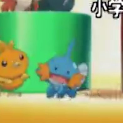 アルコバレーノ ミズゴロウ が踊ってて大好き アルコバレーノ ミズゴロウ が踊ってて大好き