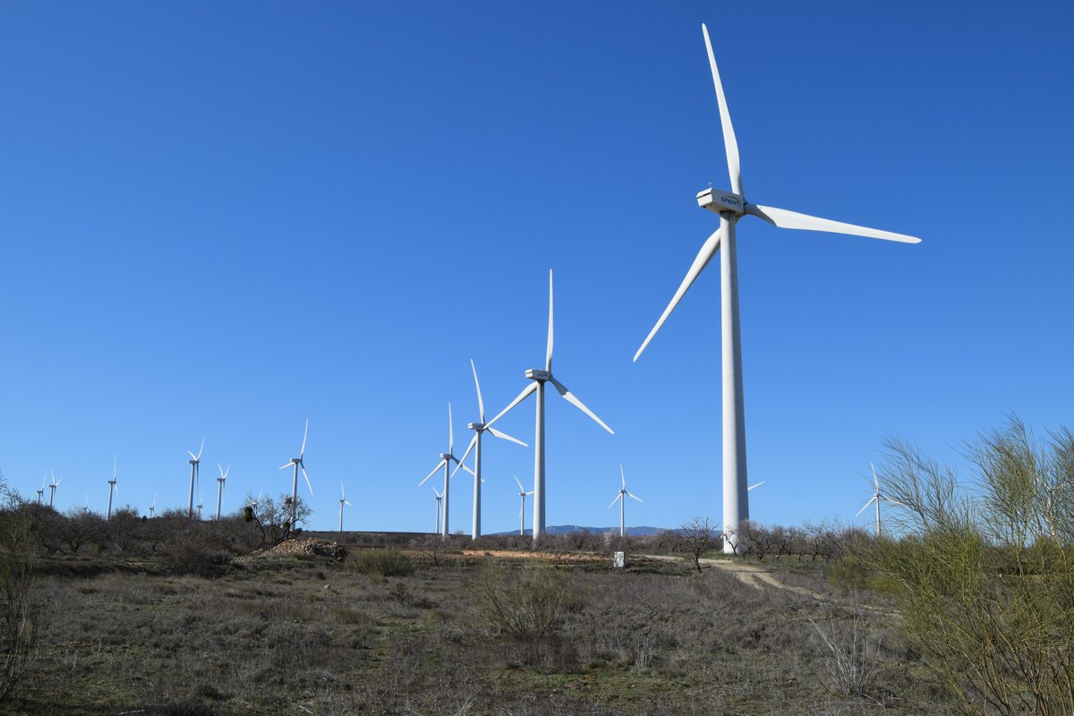 TierraLaRioja's tweet photo. ¿Todo vale en #LaRioja para producir electricidad? La empresa promotora del PE Los Cruzados es incapaz de realizar un estudio de campo de la fauna con una año de duración, se basa en bibliografía. ¿así se va evaluar su impacto ambiental? #EólicaSiPeroNoAsí @EvaHita @DoradoAlex https://t.co/VAWGAwOuft