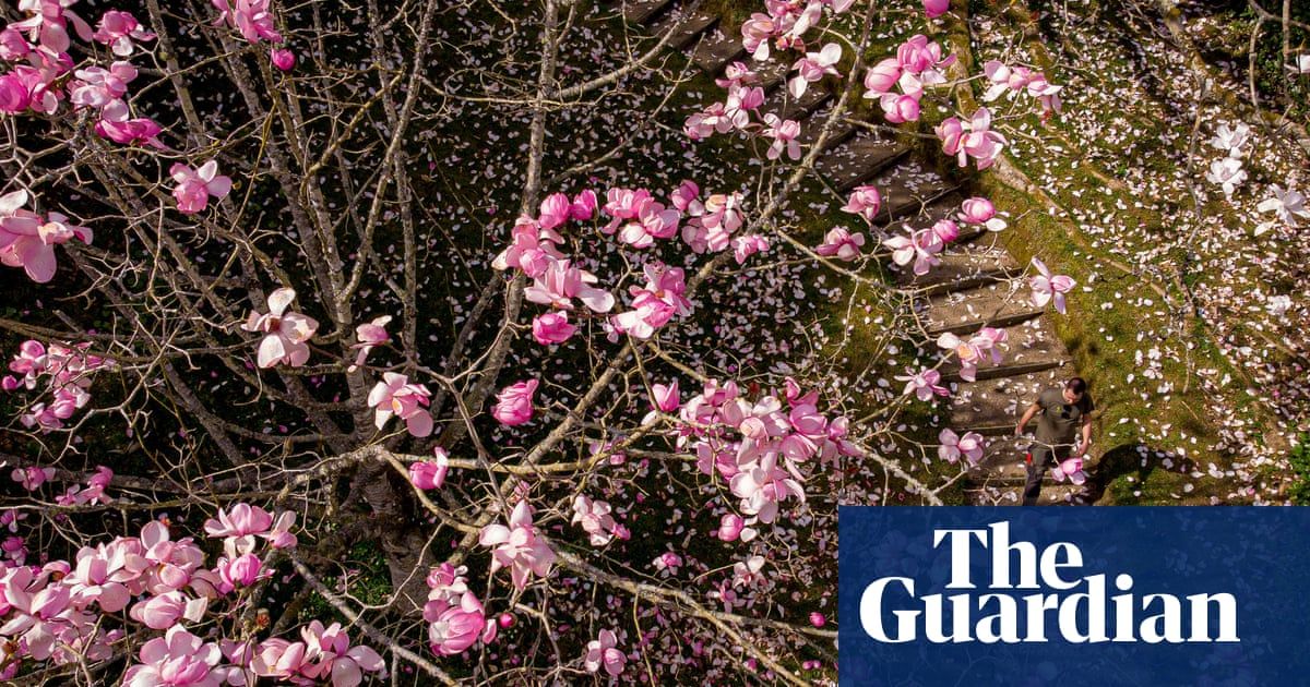 TheHelpHubUK's tweet photo. Will you be taking part in the National Trust's BlossomWatch?
https://t.co/rhoHHetWsi
#springiscoming #blossomwatch @nationaltrust #TheHelpHub #mentalhealthawareness https://t.co/z7qYEKC0pl
