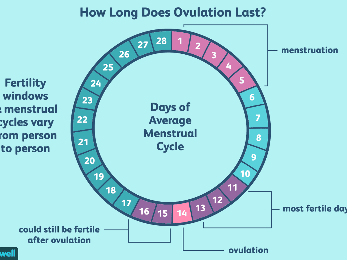 mercymugo37's tweet photo. It's about time we learn of our ovulation Cycle and not just our menstrual cycles..#Prolife #LIFEWEEK 2021#Experience CUEA
@jpicfa2 @ChemutaiFaith15 @sandra_ochwaya @Wilder49349176 https://t.co/xJzV4gwtGd