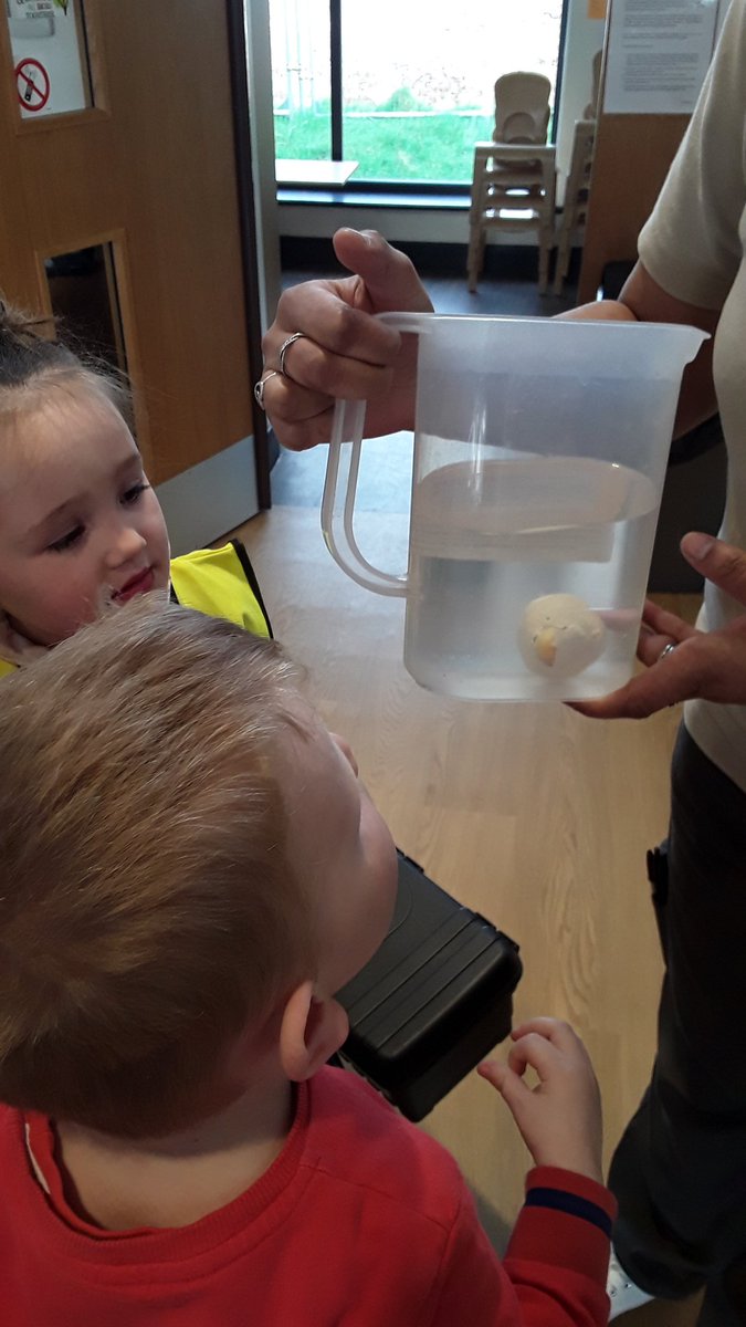 AshbridgeMaxy's tweet photo. Surprise!! What is going to hatch from Squirrels magic egg? We cant wait to see! #observationskills #aweandwonder #earlyscience #predictionskills #newvocabulary #hatching #cracking #breaking #appearing https://t.co/7qHRQU53F7