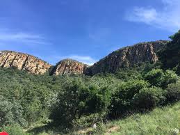 SowetoBNBL's tweet photo. God's gift to the world are TREES, SUNSHINE and MOUNTAINS.
Take some time and bask in those gifts. https://t.co/e5ch4vEumr