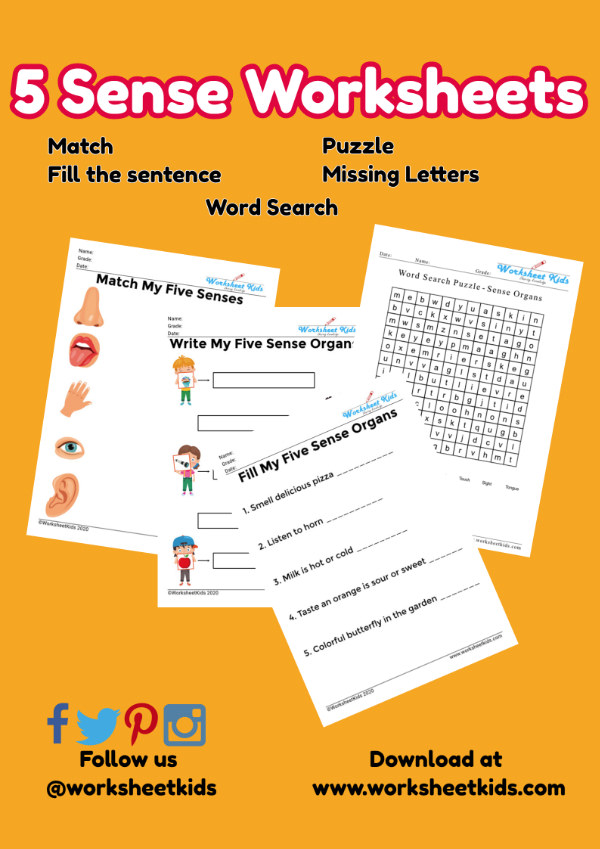 worksheet kids on twitter 5 sense worksheets for preschool and kindergarten kids download here https t co ap0agjc4yp preschool preschoolactivities preschoolathome homeschooling senseorgans kindergarten kindergartenactivities