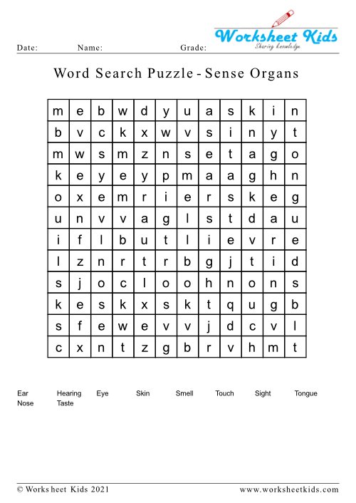 worksheet kids on twitter word search puzzle five senses and organs worksheets download here https t co ap0agjc4yp preschool preschoolactivities preschoolathome homeschooling senseorgans kindergarten kindergartenactivities