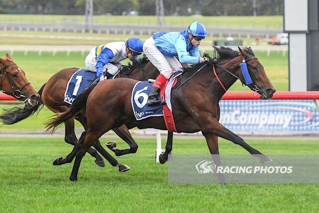 The Victorian-bred JOHANDOUGH wade it back-to-back wins <a href="/MelbRacingClub/">Melbourne Racing Club</a> Lakeside today for <a href="/CWilliamsJockey/">Craig Williams</a> and trainer <a href="/tdcarberry/">Thomas Carberry</a>. A 2018 <a href="/inglis_sales/">Inglis</a> Gold Yearling Sale graduate, the mare is by <a href="/BlueGumFarm/">Blue Gum Farm</a> sire TURFFONTEIN. Congratulations!