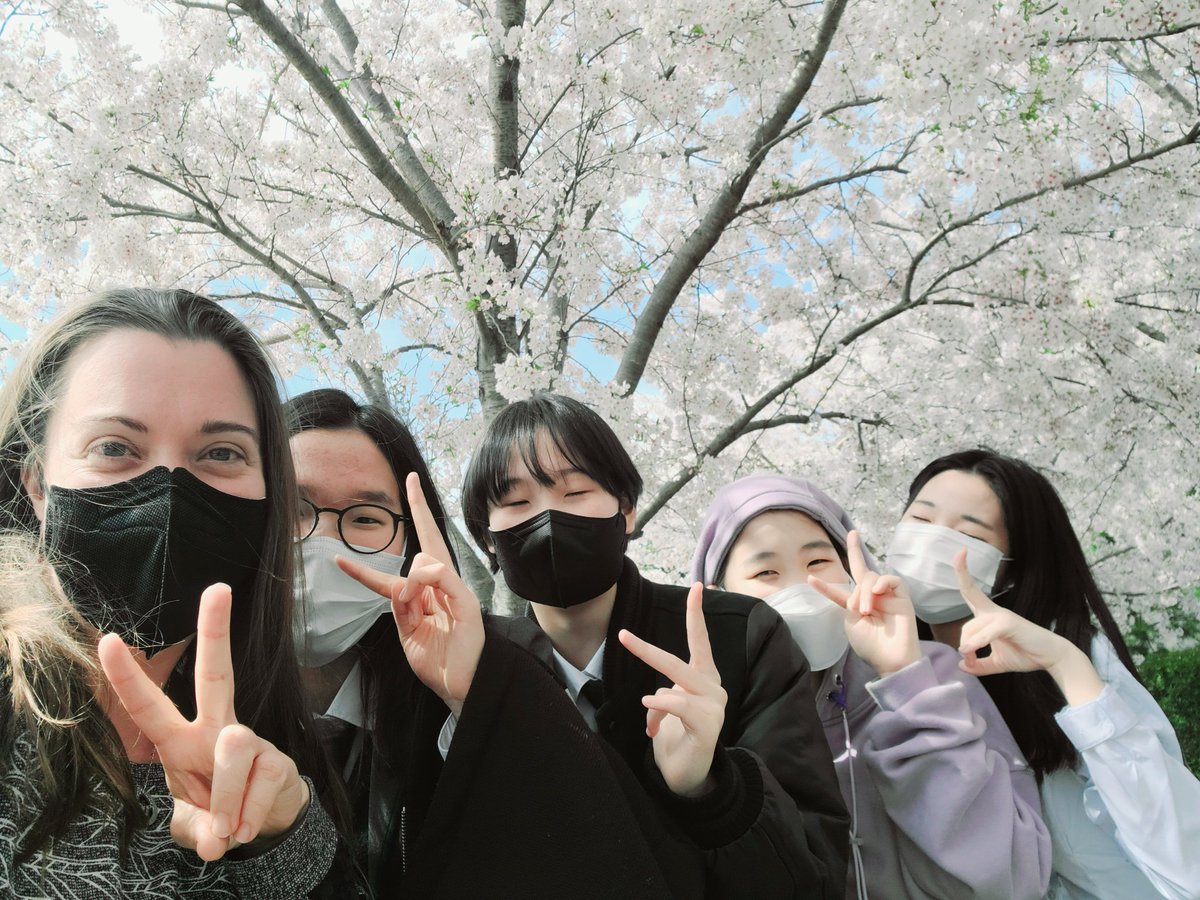 Bec_NZ1's tweet photo. #G8 #MS #advisory enjoying spring. @SJA_Jeju #iLoveMyStudents #beewatching #springtimebeauty #벚꽃 https://t.co/vyniKH0rcl