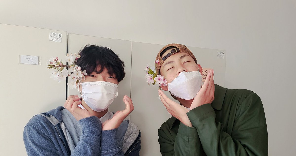 Bec_NZ1's tweet photo. #G8 #MS #advisory enjoying spring. @SJA_Jeju #iLoveMyStudents #beewatching #springtimebeauty #벚꽃 https://t.co/vyniKH0rcl