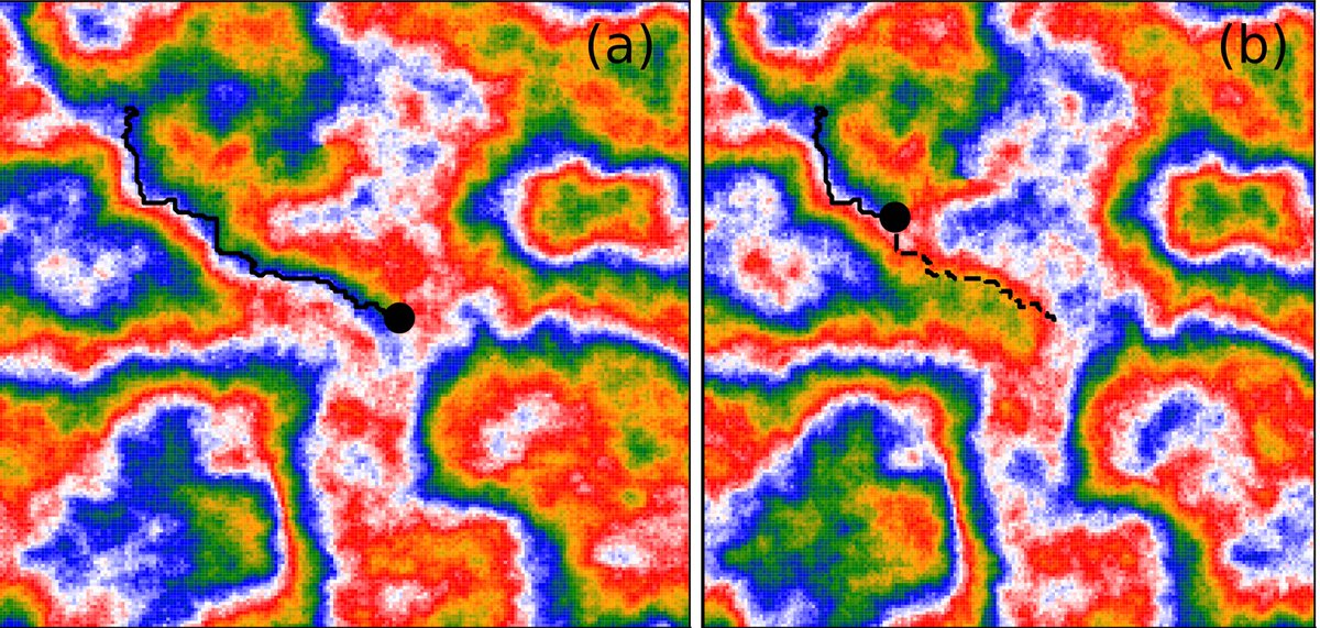 demian_levis's tweet photo. What happens with the Kosterlitz-Thouless transition of planar spins in the presence of activity? #topologicaldefects become superdiffusive and the KT phase breaks into a mosaic of domains. With Ylann Rouzaire @EPFL_en. #StatMech of #activematter
https://t.co/t0n8kWEiMj https://t.co/vH3rNdiVZO