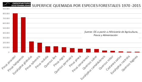 iSostenibilidad's tweet photo. ¿qué especies han ardido más en España? #bosques #iiff #iiff2021 #diaforestalmundial Accumulated surface burned per tree specie or grupo de especies between 1970 and 2015. Observatorio de la Sostenibilidad with data from Ministerio de Agricultura, Pesca y Alimentación (2021a). https://t.co/CXgOOOkM2R
