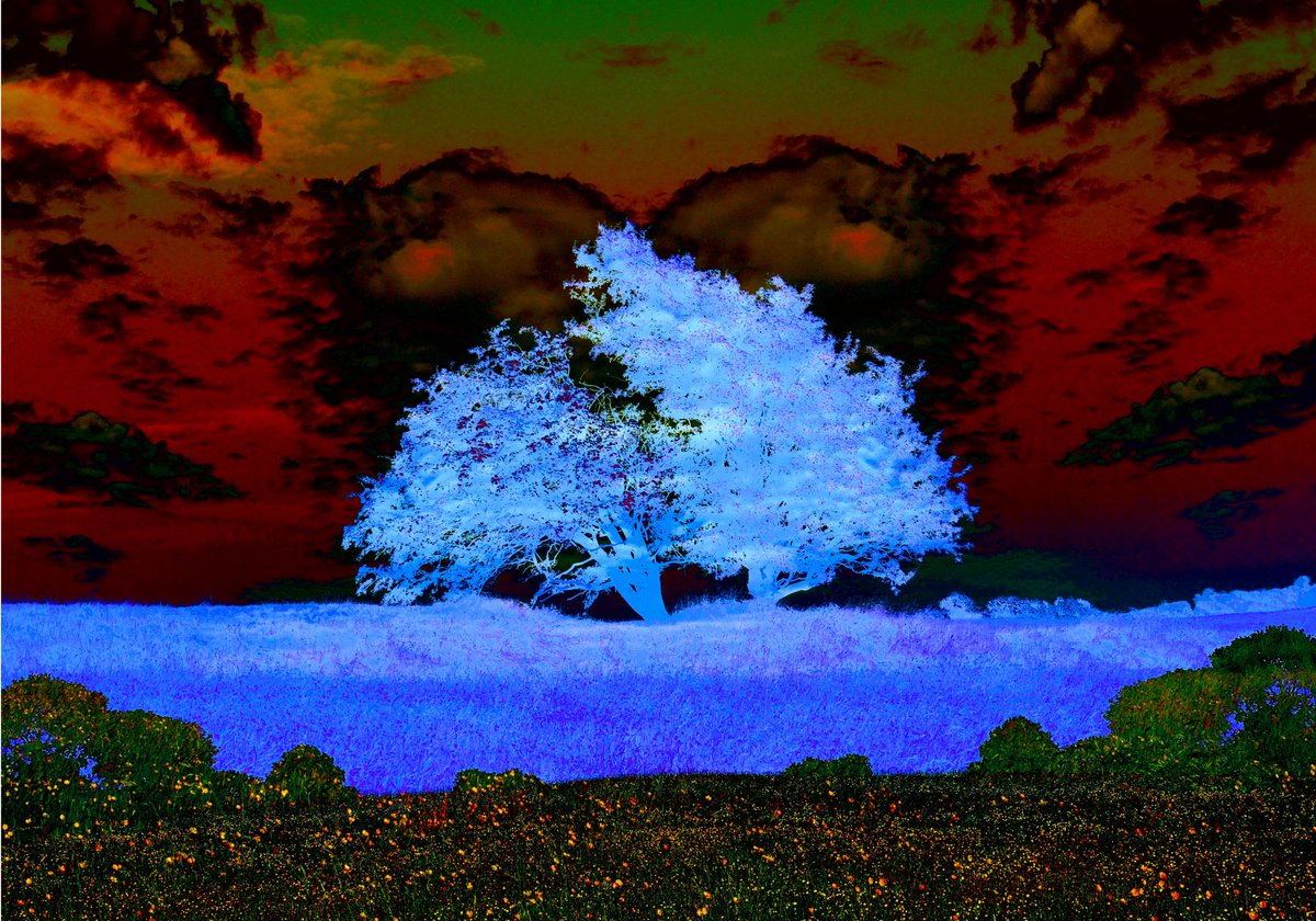 CapraCorvus's tweet image. From #theHillofTara #taranari #nationaltreeweek2021 #brunaboinne #tara #meath #ireland #irish #irelandsancienteast #visitireland #boynevalley #celtic #celticart #visualart #Art #artist #photography #irishartist #irishart #treeweek #treeweek2021 #mythology #pagan #mystical