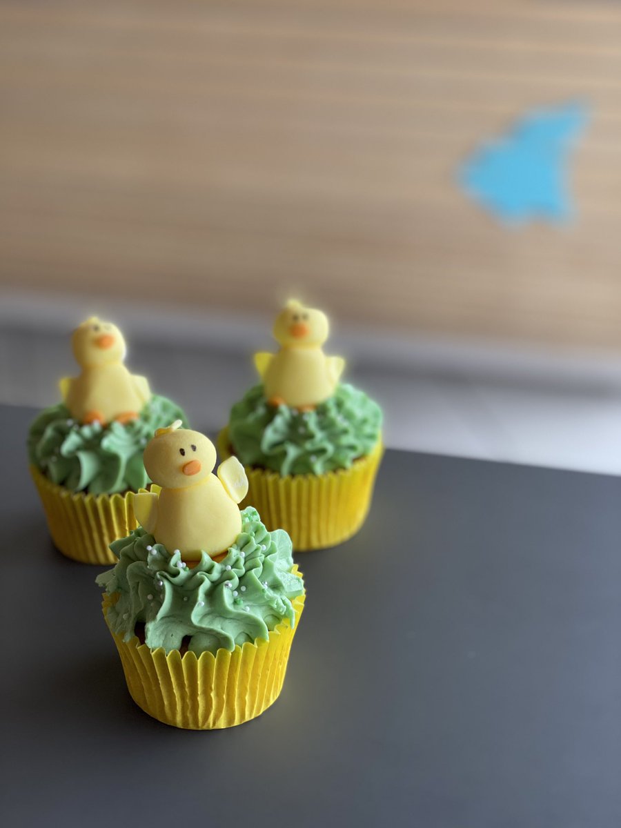 I just had to tweet about these guys😂 We are open 10-3 today for awesome coffee and fine treats! #figmentcoffee