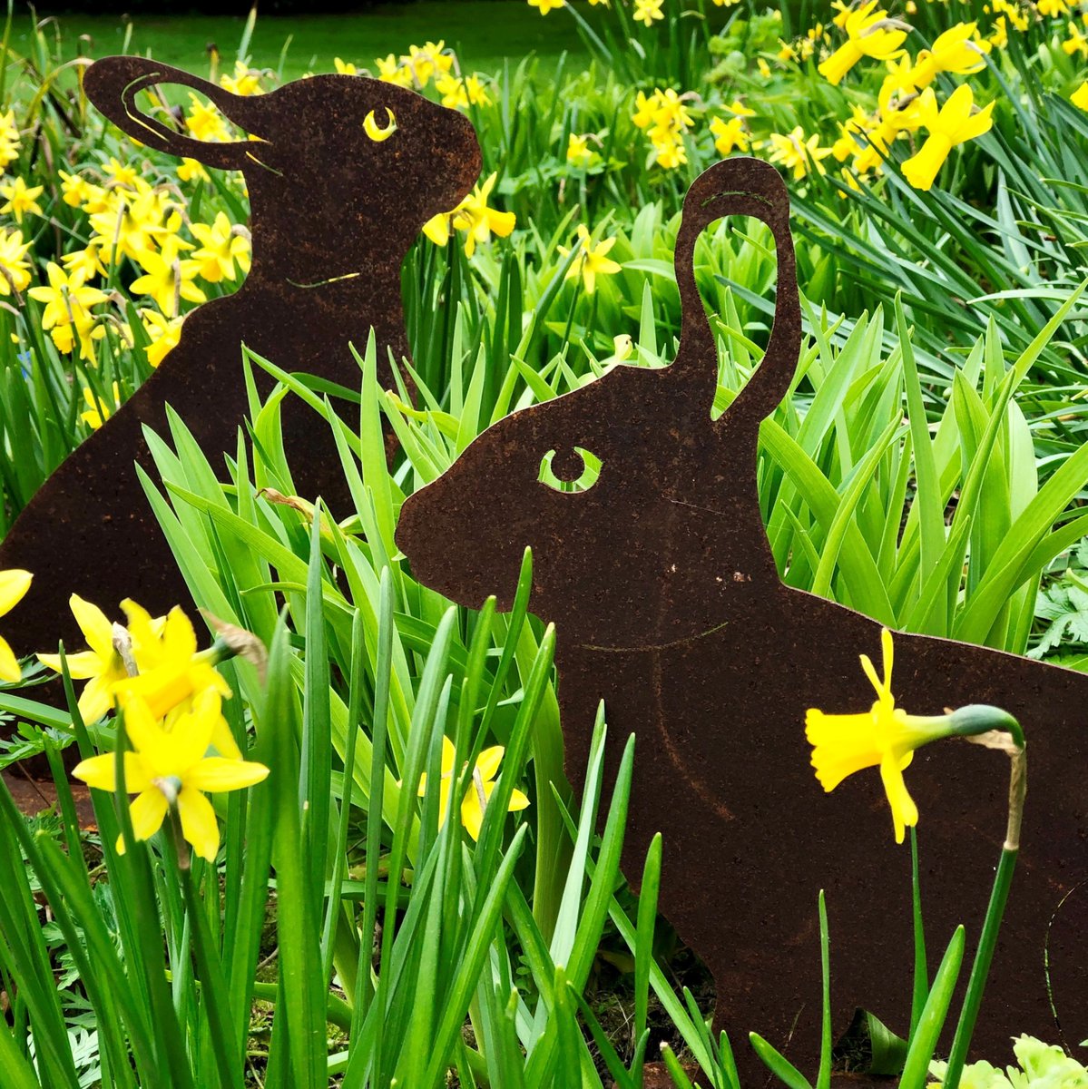 ProducedinKent's tweet photo. Easter Bunny Hunt at Great Comp Garden.  Read more: https://t.co/9t83IXCjg2 
#helpkentbuylocal  #lovekent #forkent #lovelocal #keepitkent #producedinkent #caringcustomer #lookforthelogo #supportyourlocal @GreatCompGarden https://t.co/kuGD7wGaGW