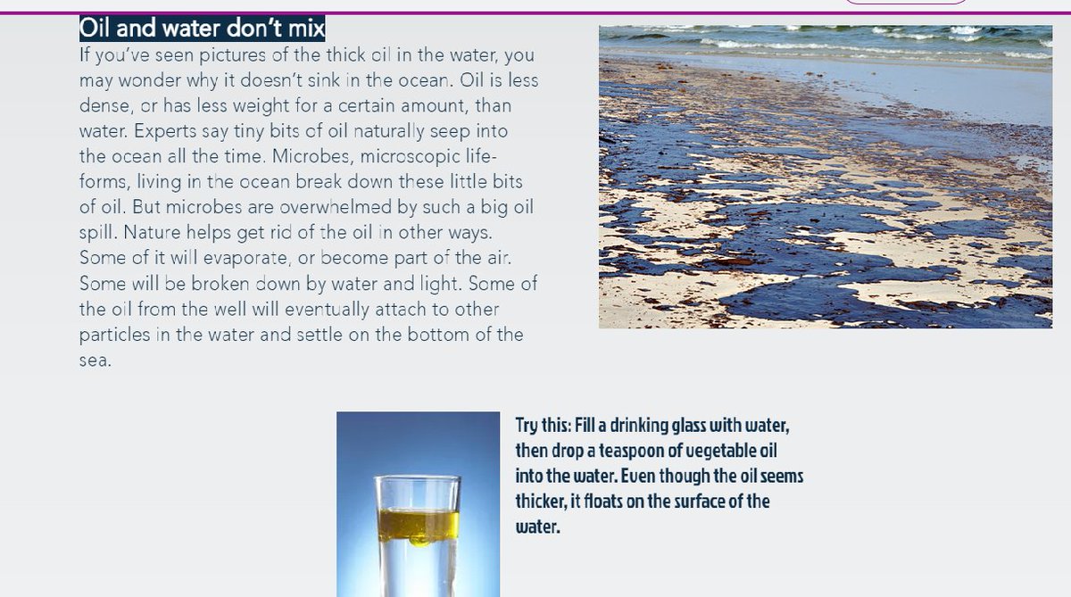 Geography at Amity Abu Dhabi tweet media