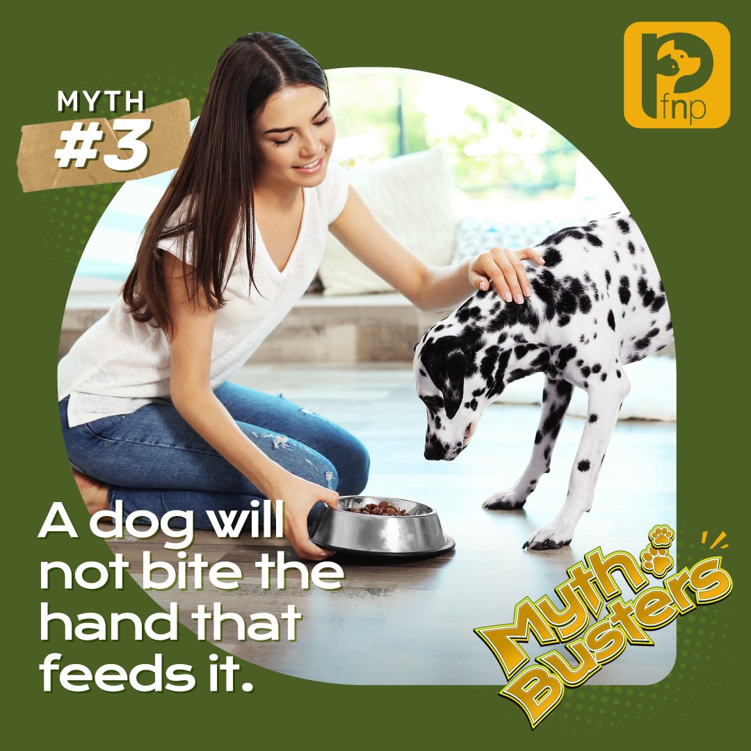 FNPPETS's tweet photo. “Every dog is capable of biting. A dog is programmed from birth to be a biter. It is up to the owner to carefully select, socialise, train, and bring up the pup well so as to ensure that it never 'needs' to bite as an adult”, says @shirinmerchant. Follow us for more #mythbusters! https://t.co/Ud8ZVR5lyc