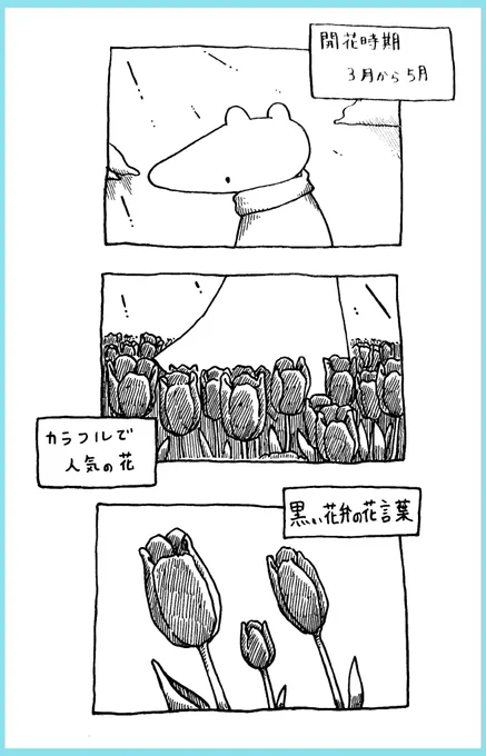 黒いチューリップ 