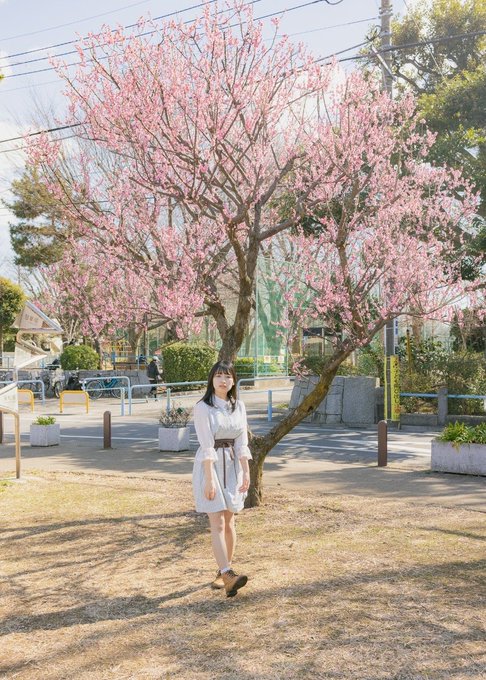 コスプレイヤー橋本麗愛のTwitter画像9