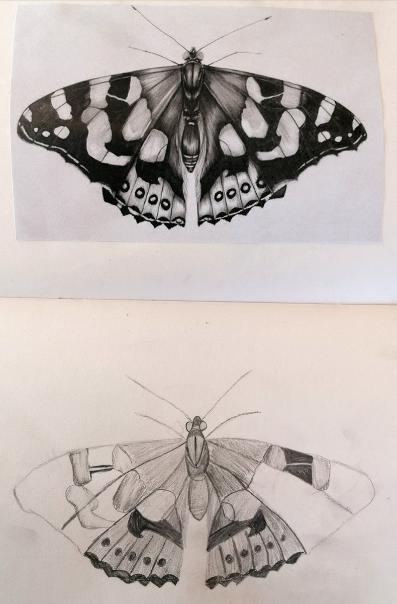 MrsCRobinsonArt's tweet photo. The power of an hour βοΈ Year 8 showed amazing pride in their work this morning by giving 100% focus to their tonal drawing skills. π
Was a pleasure to join in with a whiteboard demo ππ»
#Insectproject #Detail #Pride https://t.co/KjTx3mm1Ou