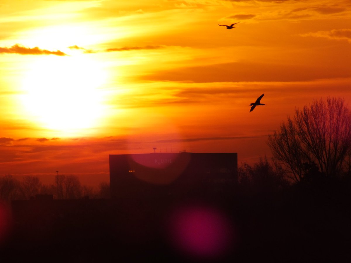Melding politie Boezembocht Rotterdam