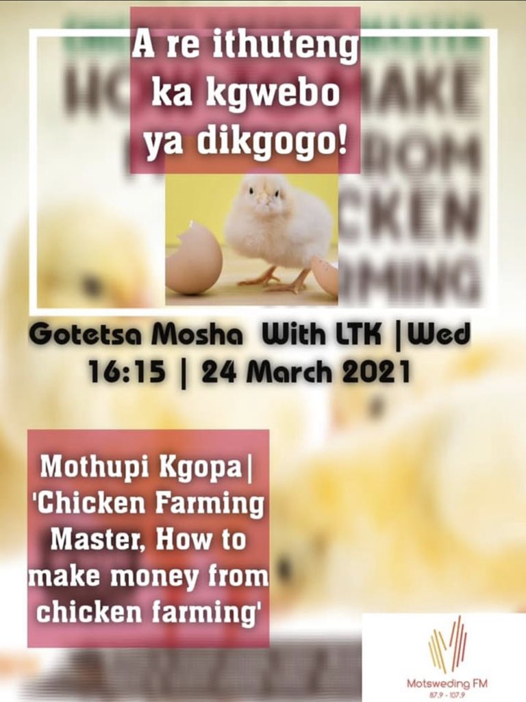 SammyBiznez's tweet photo. Today we have an in-studio interview on Motsweding FM at 16:15. Please do tune in to hear more about our work in chicken farming. Send me a WhatsApp on 0658136129 to purchase the farming book; Chicken Farming Master. https://t.co/AziSTHyHIb