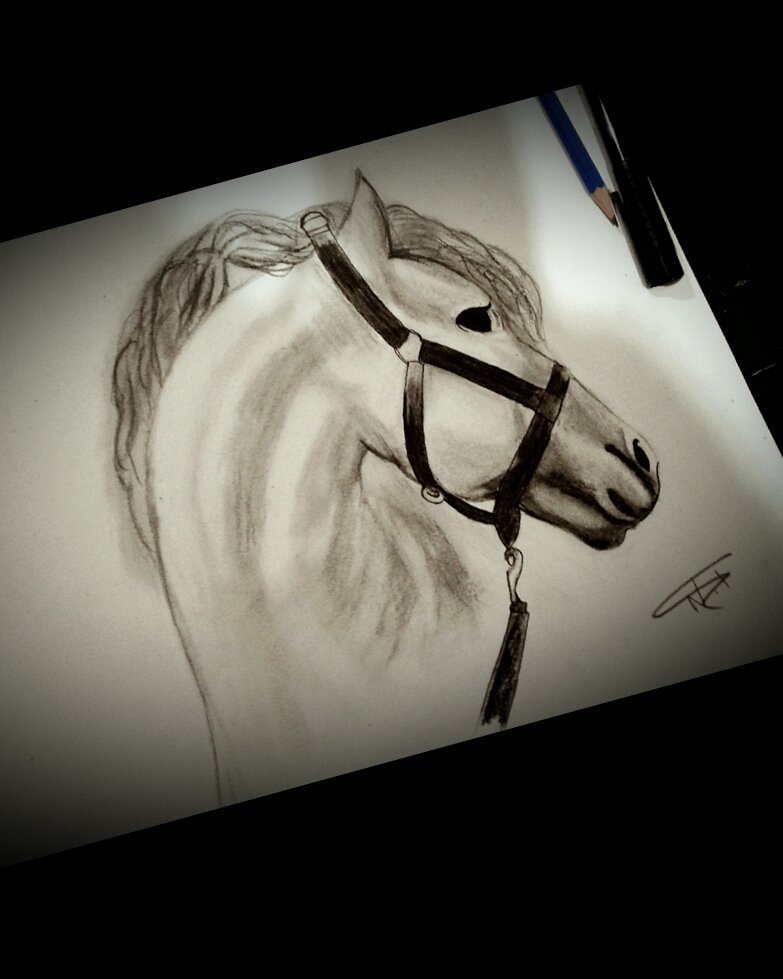 ILUBTS7's tweet photo. A small thread of my drawings.🤭 Please tell me in the end how did you find them🤦🏻‍♀️☺️?
+ https://t.co/vNNDeOGm3u