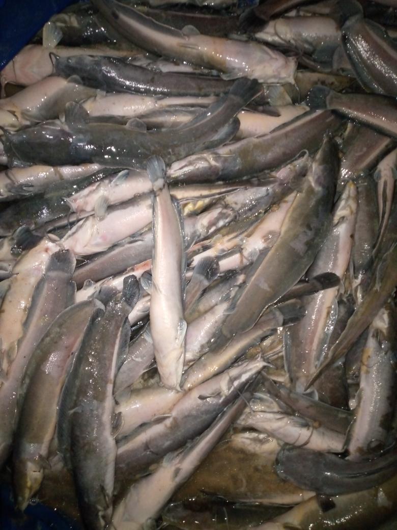 Mawe Fokoa Arlette tweet media