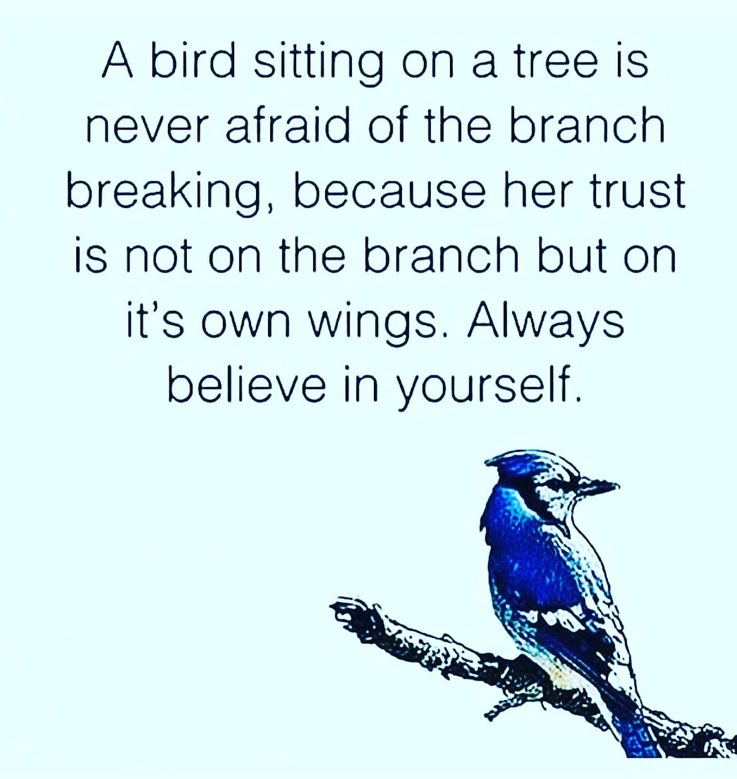 thengoworld's tweet photo. Believe in yourself
#safarzafar #WillSkill #thengoworld https://t.co/x8YSslFKjq