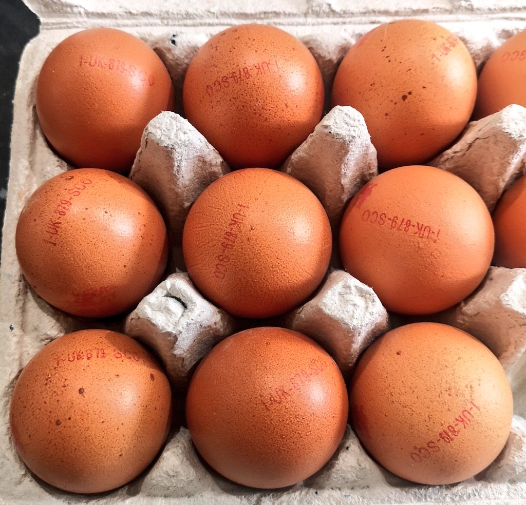 ไข่ มันหลุดออกมาจากตูดไก่ ทำไมมนุษย์ถึงคิดว่ามันสามารถกินได้ แถมกินตอนมันยังไม่ฟักตัวเป็นลูกเจี๊ยบด้วย สงสัย🤔