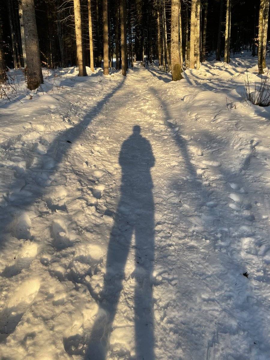 Scott42195's tweet photo. Playfulness doesn’t pay,
In any conventional economic way,
Yet the learning and whirring,
Never ceases, keeps blurring.
Me, tree, within, without,
Slimy, swimming, roots, trout,
Entanglingly perceptioning,
My work, my practice, life-ing.
#warmdata
#ZeroStep
#SeriouslyPlayful https://t.co/wlYPdM9ii1