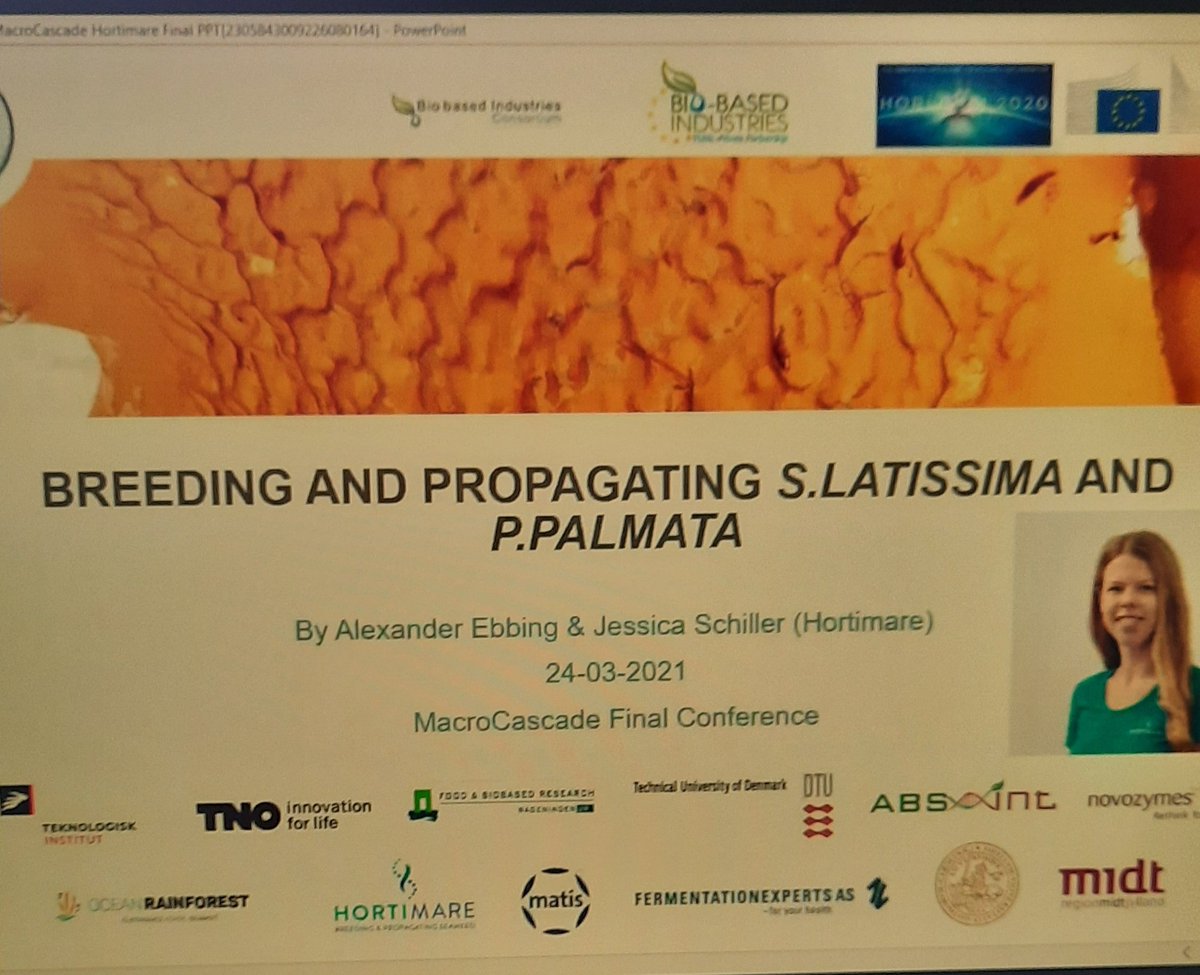 Enjoying the <a href="/MacroCascade/">MACRO CASCADE</a> final conference today. Funded by @BBI2020 First talk given by <a href="/Ebbinga/">Alexander Ebbing</a> <a href="/Hortimare/">Hortimare</a> #seaweed #biorefinery #cultivation #harvesting #innovation #sustainable #bioeconomy #bluegrowth