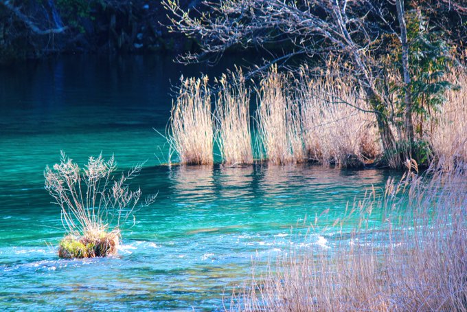 清流のtwitterイラスト検索結果