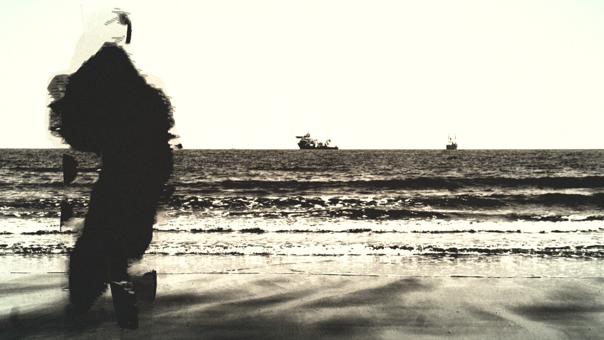 Damiano Gerli tweet media