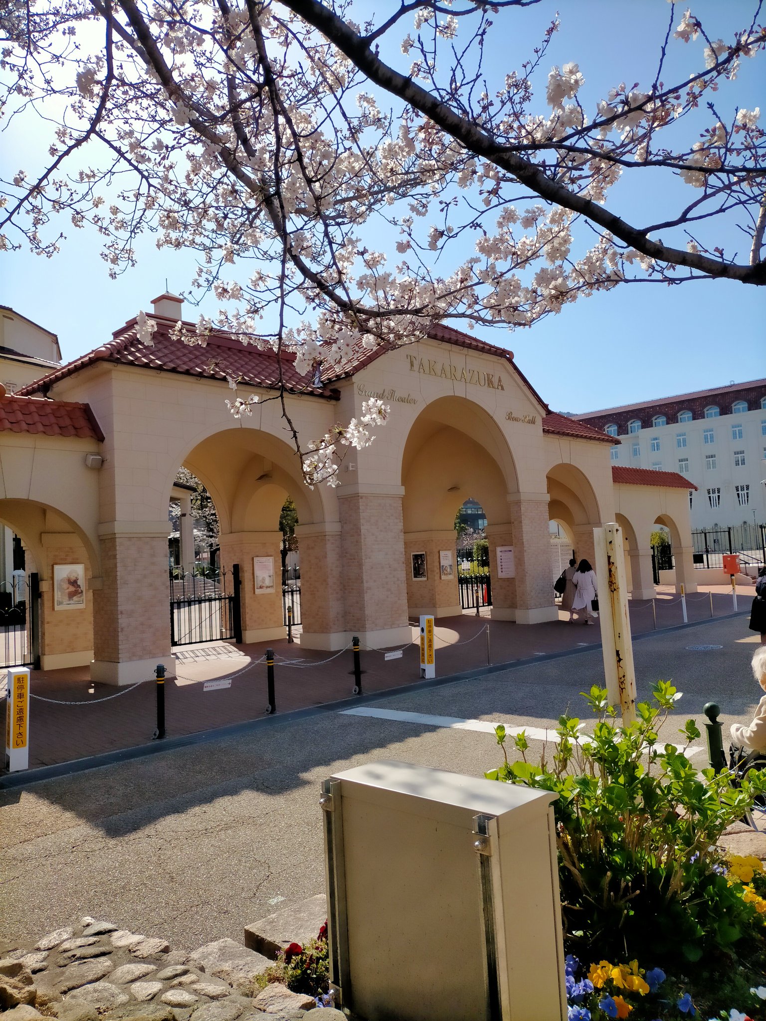 クラゾウ 今日は宝塚音楽学校の 宝塚会場の一次試験 でしたね 大劇場は休演日ですが 珍しく花の道は 賑わっていて 受験生達も多く 見かけました 受験生の皆様 お疲れ様でした 宝塚歌劇団 T Co M7ixyaff85 Twitter