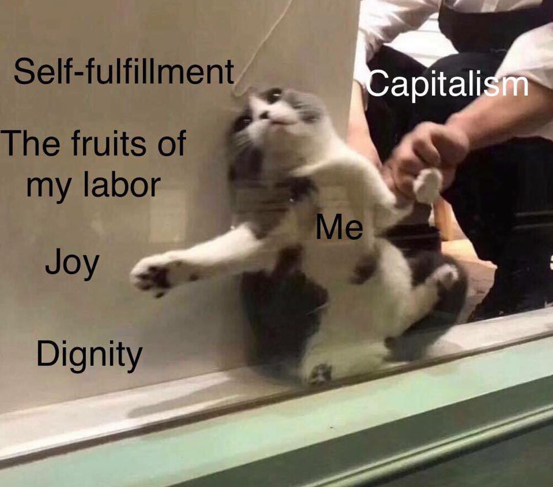 ☀️👀 tweet media