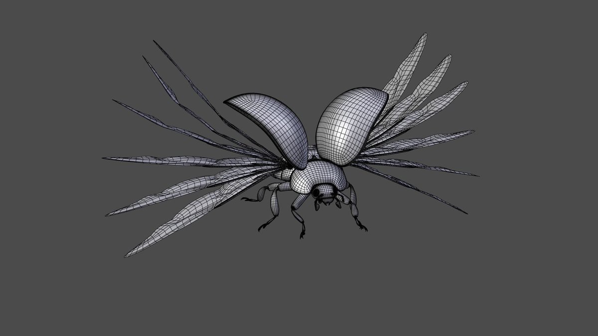 DavisDuke7's tweet photo. This is a 3D ladybug model with animations of flying and crawling. 
https://t.co/J88fqoirQi
https://t.co/RaqQqJoane

#3danimals #animalcharacter #3dmodeling #3drender #3dartist #blendermodel #blender3d  #3dmodel #renderings  #3dart #blender3dart  #3dartist #3dartwork #superbcg https://t.co/TGIb3wIcPb