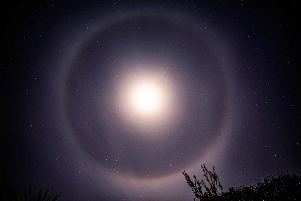 davidgerulis's tweet photo. Did you see the Moon Halo last night? ✨

Enjoyed staring at it for an hour while recording a timelapse. Magical! 😇

#moonhalo #ireland #moon #halo #sky #photography #celbridge
@iweatheronline
@MetEireann
@WeatherRTE https://t.co/8DAPDcxamm