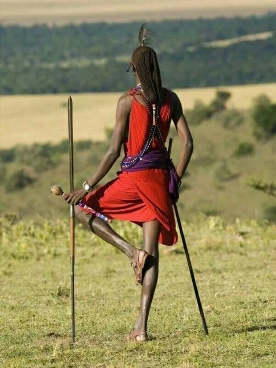 V Kofi Brobbey tweet media