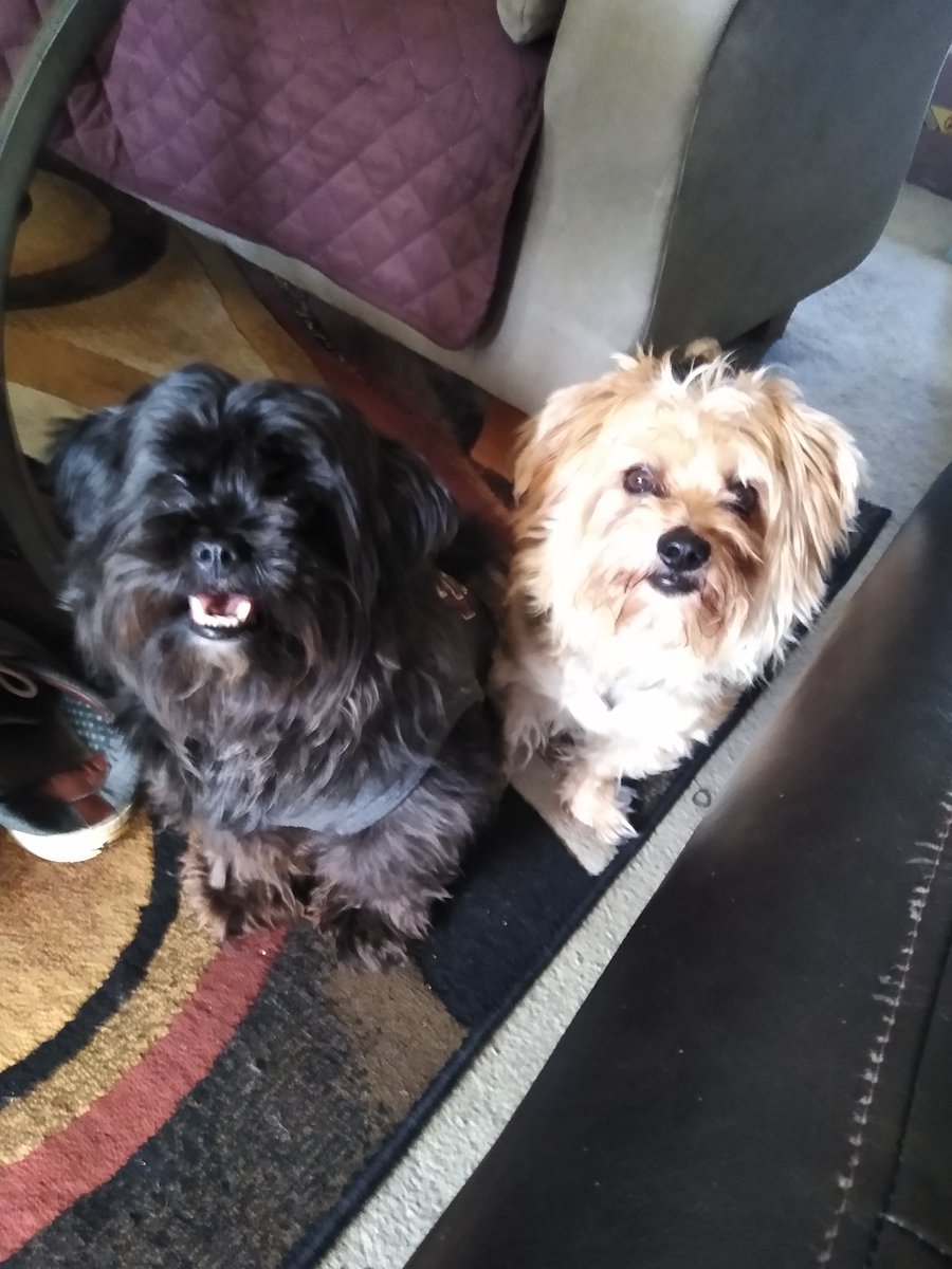 CarpenterBernie's tweet photo. Bonnie and clyde. https://t.co/PEXbm7CN1r