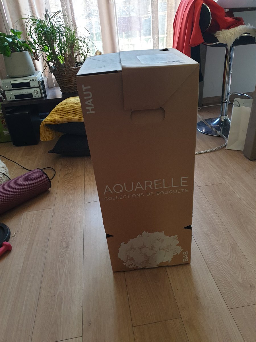 EwanjeEpee's tweet photo. Lire les remarques dégradantes de quelques olibrius qui n'ont toujours pas compris qu'en insultant les femmes ils sont désormais hors-jeu. Puis recevoir un bouquet de fleurs d'un jeune athlète retraité et entrepreneur que vous avez aidé à monter son projet 🙏🏾
#onestpasdessalopes https://t.co/6K8tqXcssG