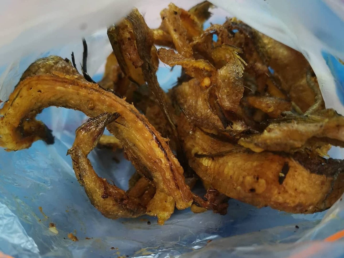 fun_tuutie's tweet photo. #OMAD 🥩CD Day 73
วันนี้ปนเปื้อนมากหน่อย 555+
- ไก่ทอด ไม่หนัง
- ไข่พะโล้
- ปลาทอดกรอบ
#sg
#thaifood
#thailocalfood
#thainorthernfood
#goldenmilecomplex
#คีโต
#คีโตไทย
#cdmenu
#carnivorediet
#ketomenu
#ketogenicdiet
#ketocarnivore
#carnivoreketo https://t.co/5UWxBqA2qx