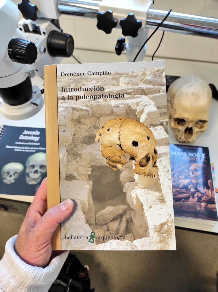 Miguel_preh's tweet image. Nuevo libro! Esta vez en castellano 😜💀👏🏼. &quot;Introducción a la paleopatología&quot;, de Domenec Campillo. #Anthropology #Paleopathology #ForensicTaphonomy